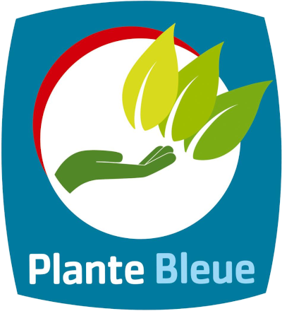 Plante Bleue